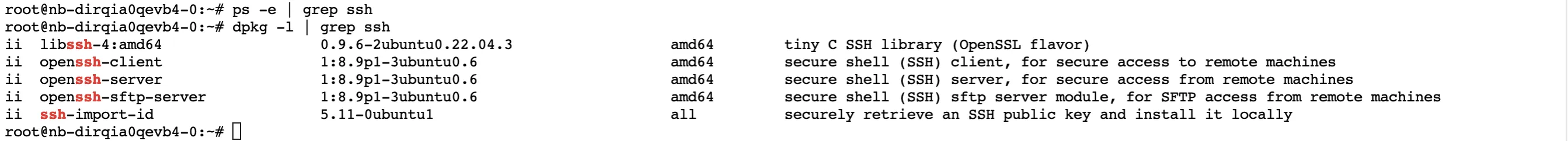 develop training ssh login 1