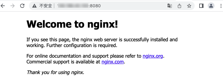 access nginx service