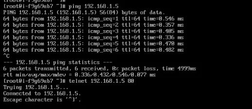 ping telnet