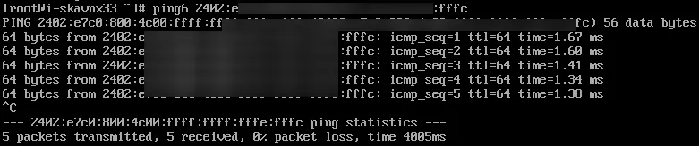 vpc vm ping6 test 1