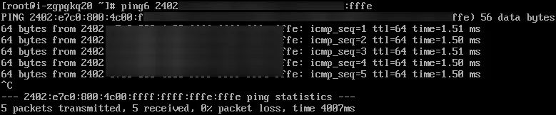 vpc vm ping6 test 2